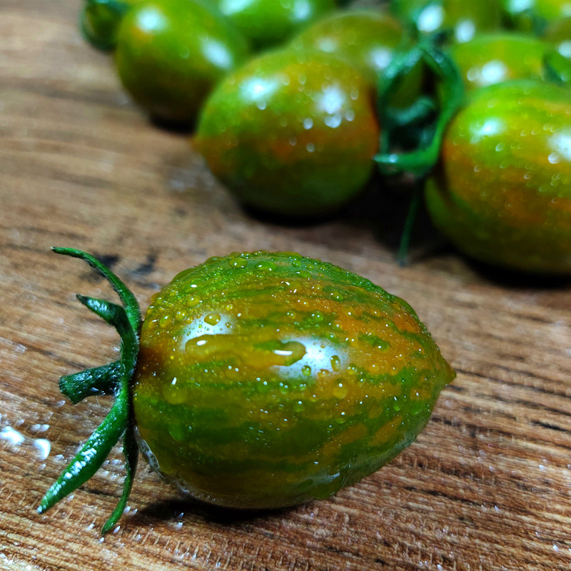 迷彩小番茄圣女果新鲜小西红巧巧克力柿子生吃水果番茄