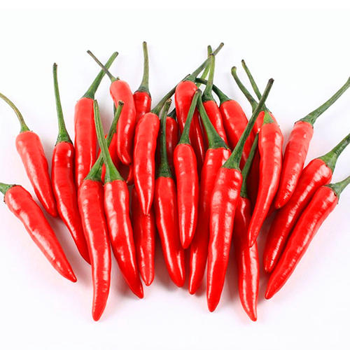新鲜小米米辣椒4斤红辣椒菜椒剁椒辣椒酱农家自种辣椒
