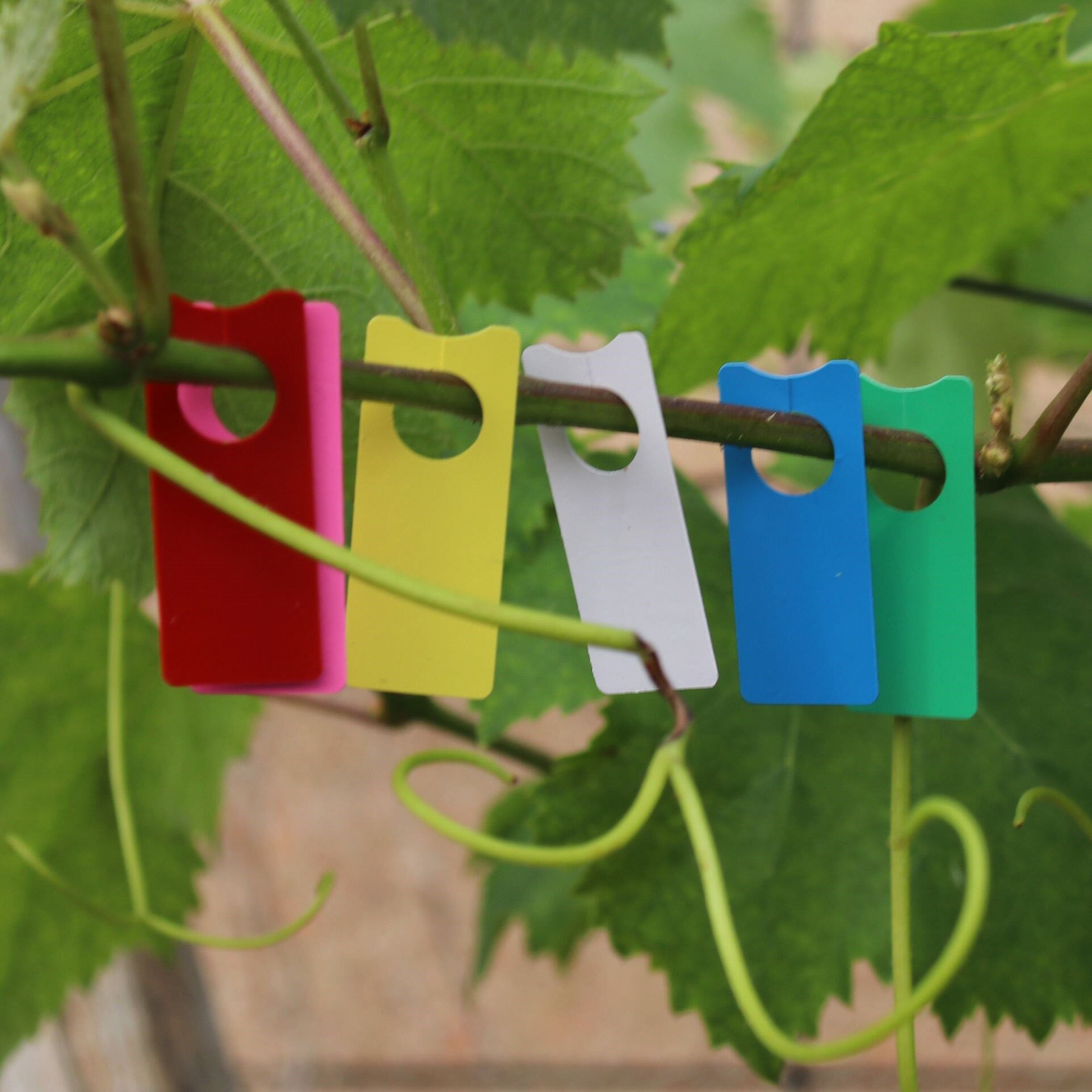 多肉标签签牌植物小号加厚防卡花卉标牌牌插地其它园艺用品