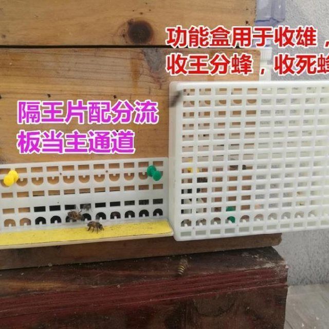 中蜂自动收王分蜂器收雄蜂巢门防逃框防跑防蜜蜂专业养蜂工具