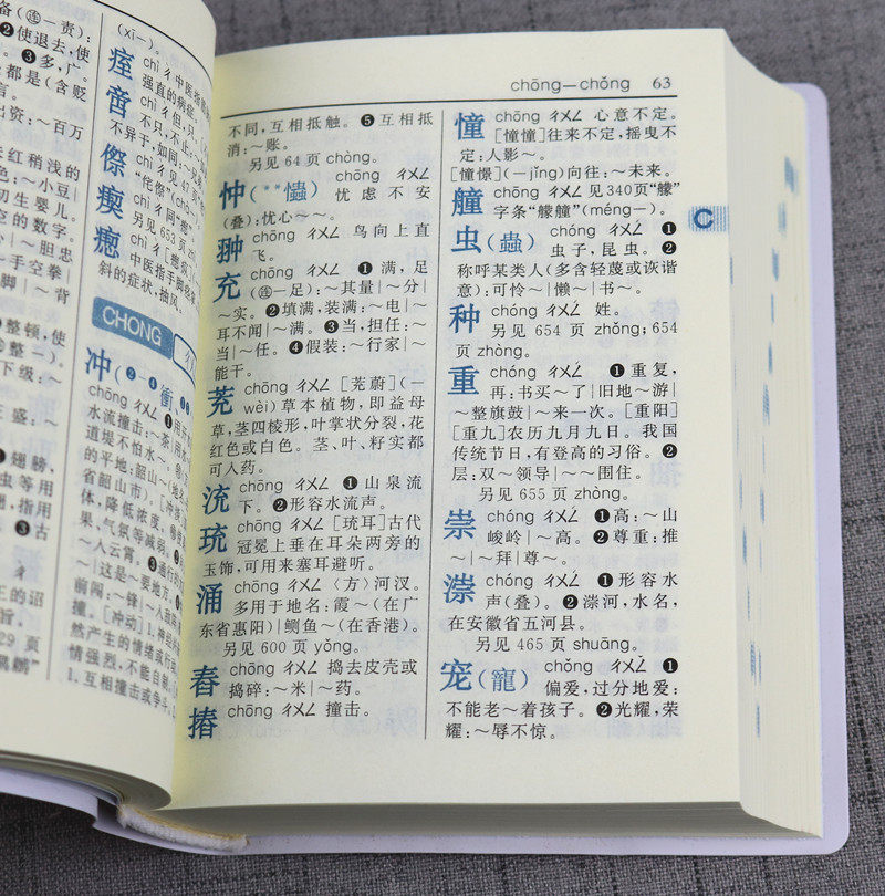 新华字典第11版双色本工具书百科全书小学生词字典 (平装) 少儿小学