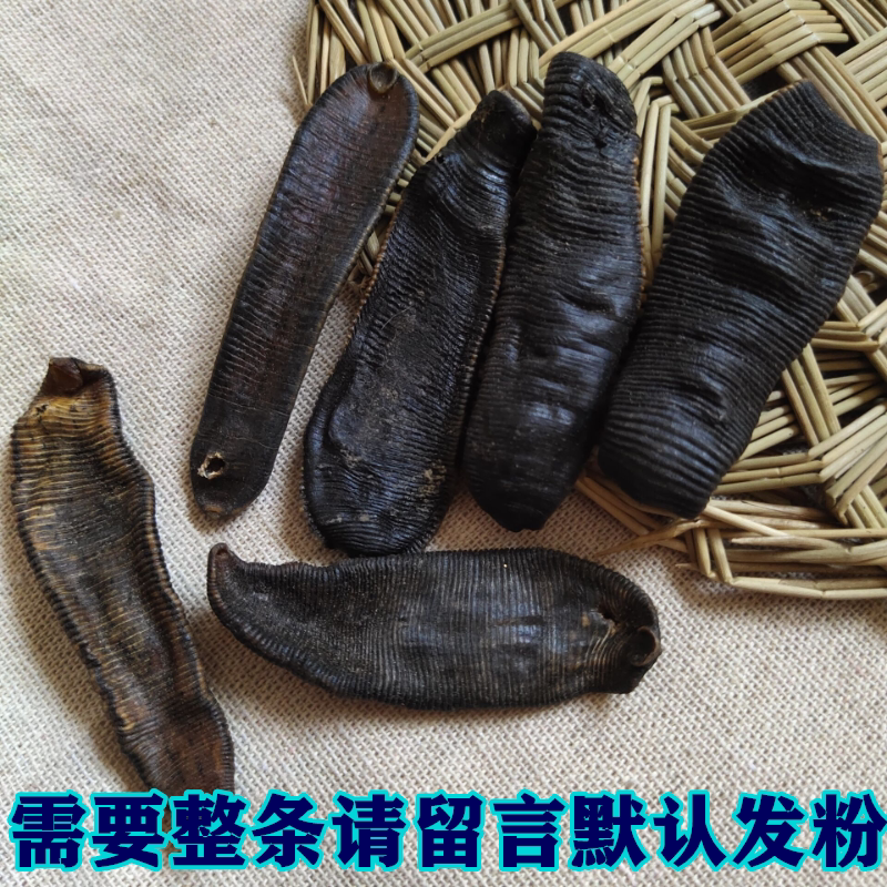 水蛭干中药粉水蛭素菲牛蛭药正品药用菲牛蛭冻干粉非同仁堂送胶囊