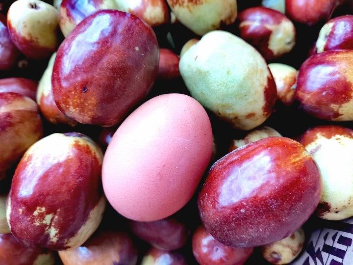 河南黄河滩5斤媳妇河滩甜枣灵宝脆枣新鲜鸡蛋枣