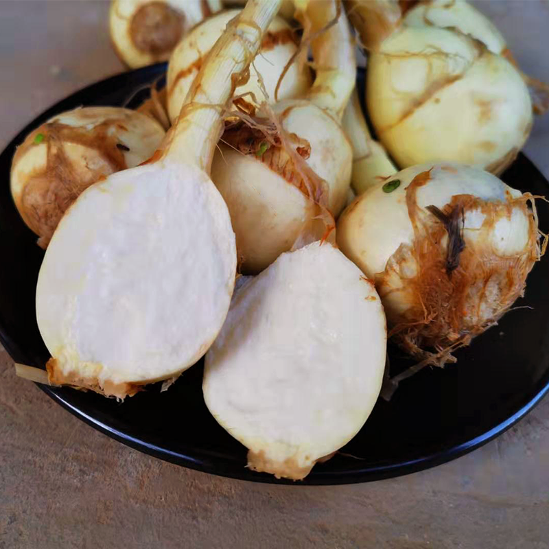 荸荠云南鲜茨菇包生茨粉糯8斤新鲜马蹄白马蹄其它