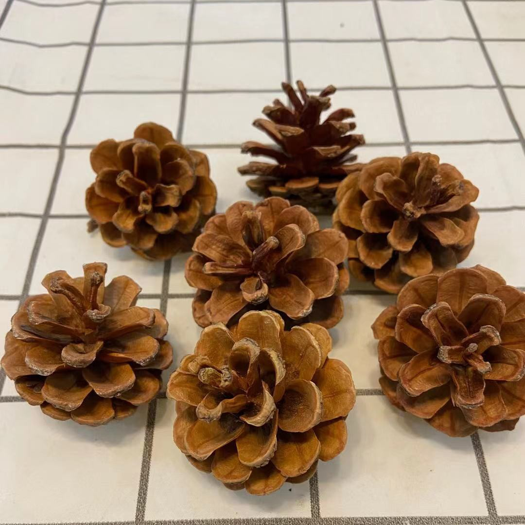 天然松果圣诞装饰干花幼儿园zakka松塔手工创意干花