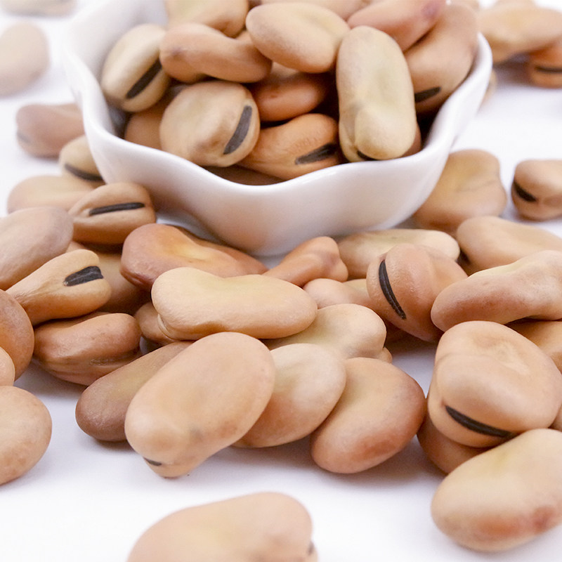 干蚕豆兰花豆五谷杂粮佛豆罗汉豆新鲜蚕豆生蚕豆南豆胡豆坚豆四斤