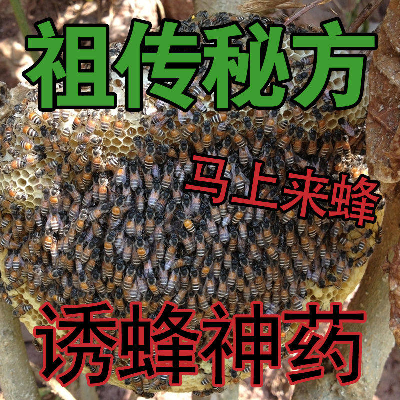 神奇招蜂水引蜂水诱蜂水收蜂水诱蜂液收捕野蜜蜂蜂王信息素150g瓶