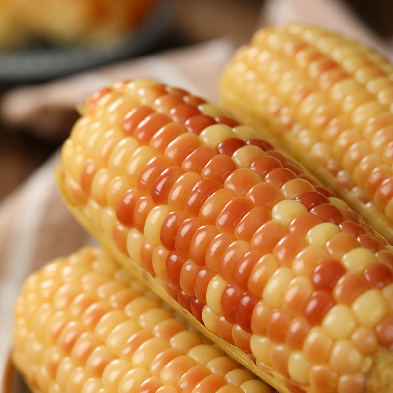 粘花糯甜傣族糯玉米棒 真空即食包装 纳香糯小玉米新鲜 云南西双版