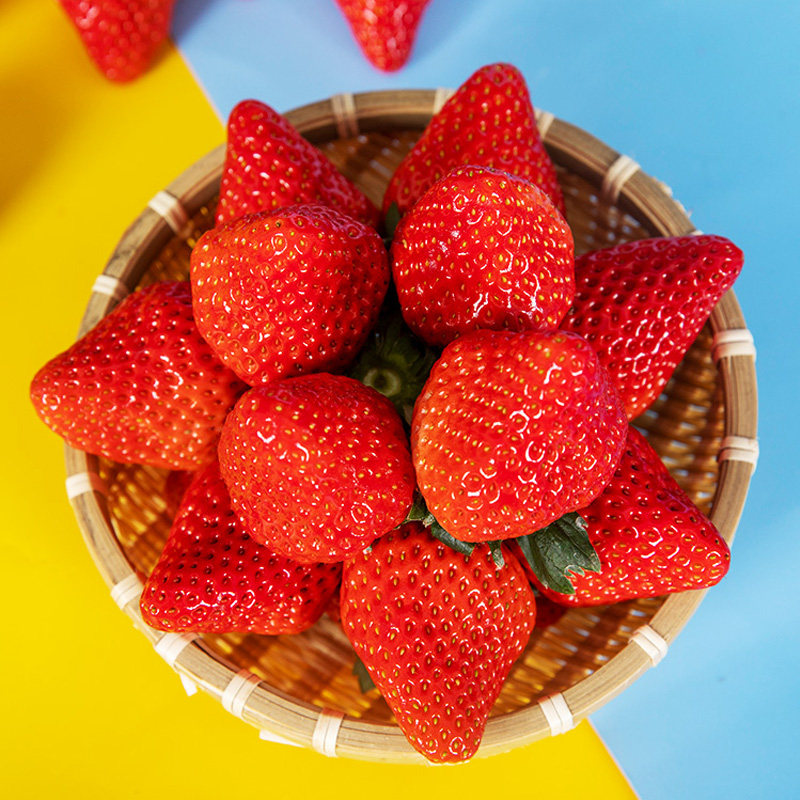 百果园店丹东99草莓新鲜13斤当季新鲜红宝玉红颜奶油大草莓