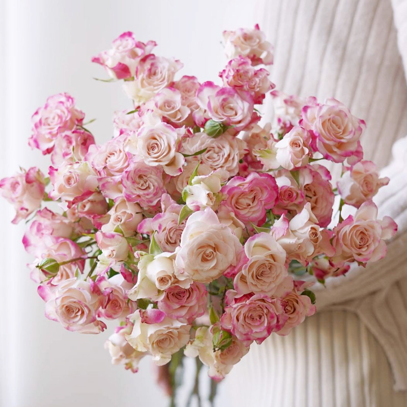 暖心多头泡泡玫瑰鲜花云南直发基地地直批家鲜花速递同城