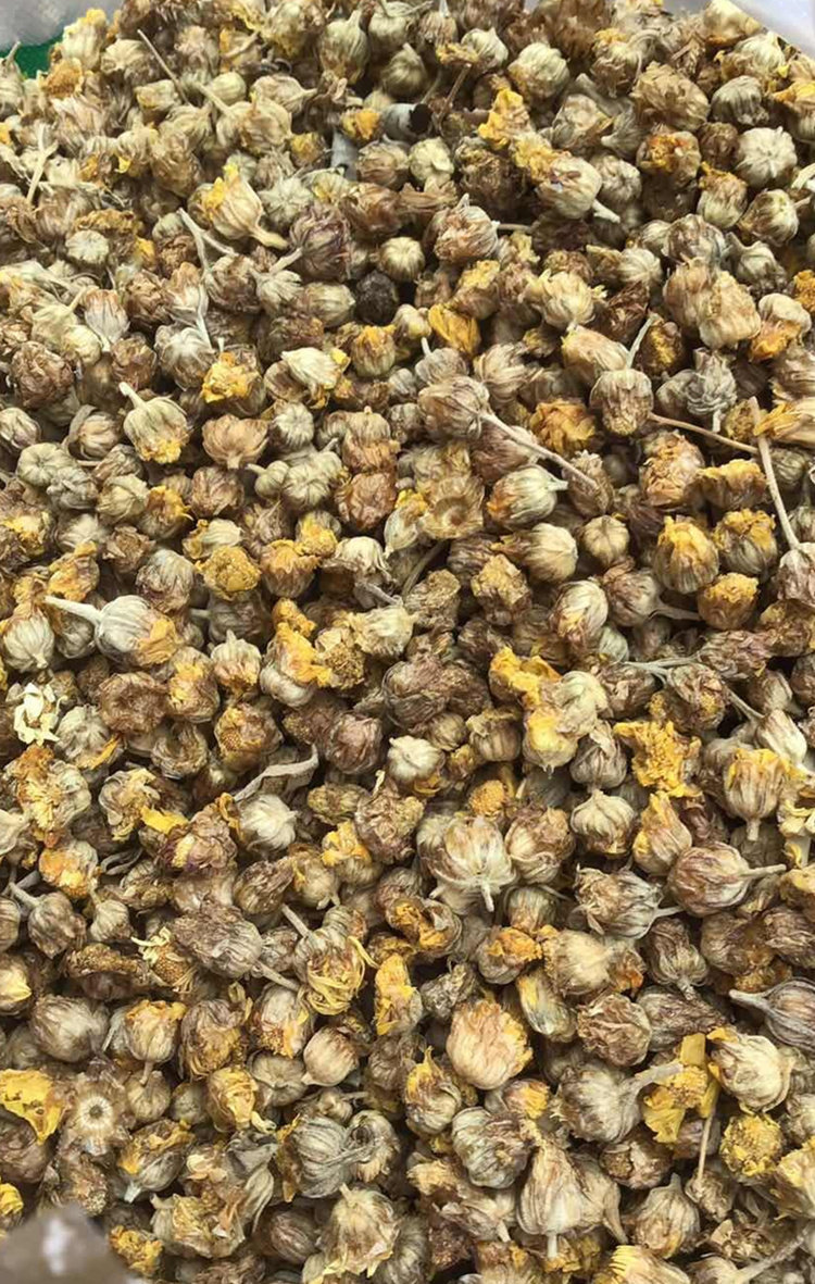 野菊花河南野生无硫泡茶煮水中药材可做枕头菊花养生茶