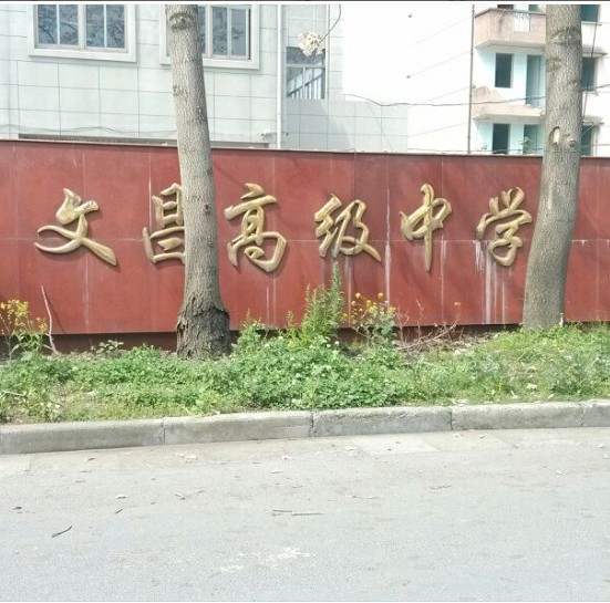 文昌高级中学校服杭州中学生夏秋冬装运动服礼服短袖工作服