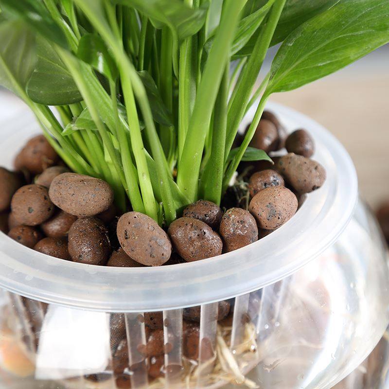 陶粒土陶植物绿植花卉盆栽垫底底土育苗铺面花盆