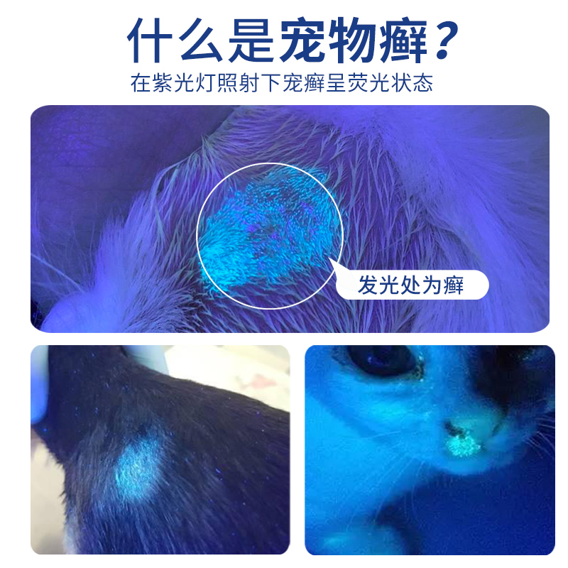 伍德灯照猫藓尿癣真菌检测手电筒紫外线荧光紫光其他