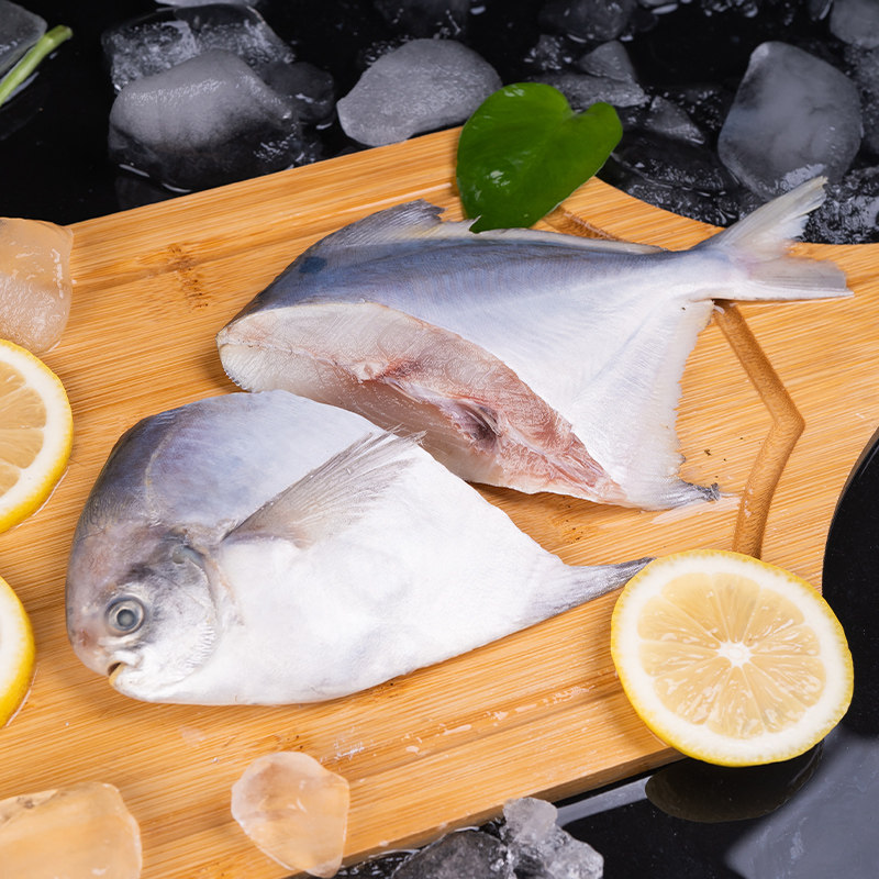 海捕深海银鲳鱼新鲜冷冻海鲜昌鱼水产平鱼白鲳鱼小鲳鱼烧烤食材