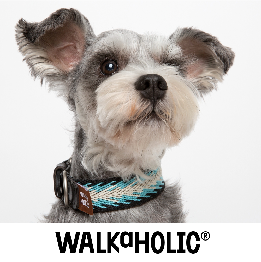 2021新款walkaholic宠物项圈狗狗脖套颈圈中小型真皮项圈