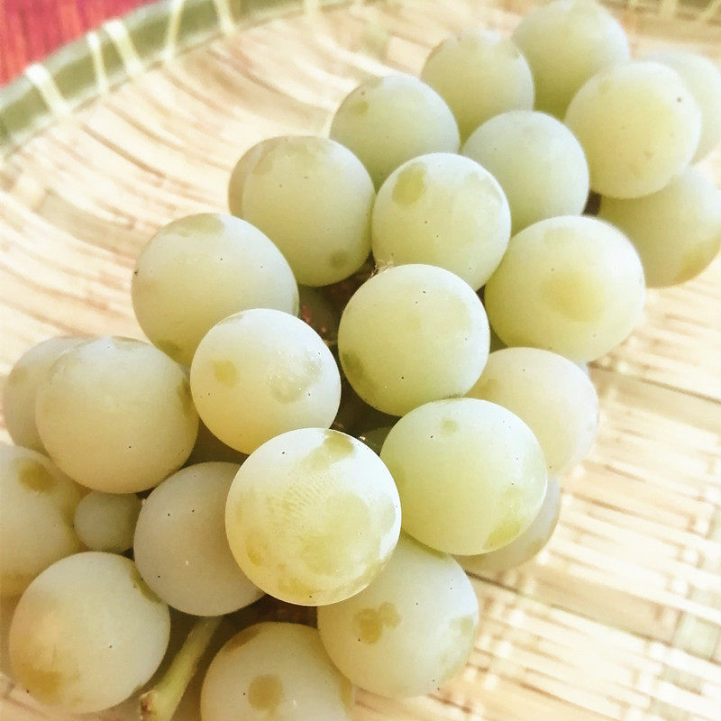 水果新鲜云南弥勒现摘水晶葡萄孕妇应季当季葡萄