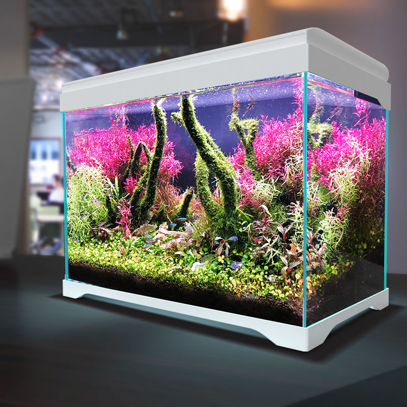鱼缸森森水草金鱼缸造景客厅水族箱森超玻璃缸生态桌面缸