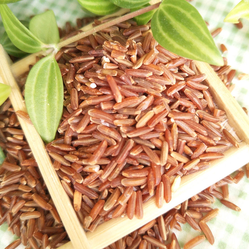 谷子先生红米红曲米红糙米500g梗米农家自种糙米