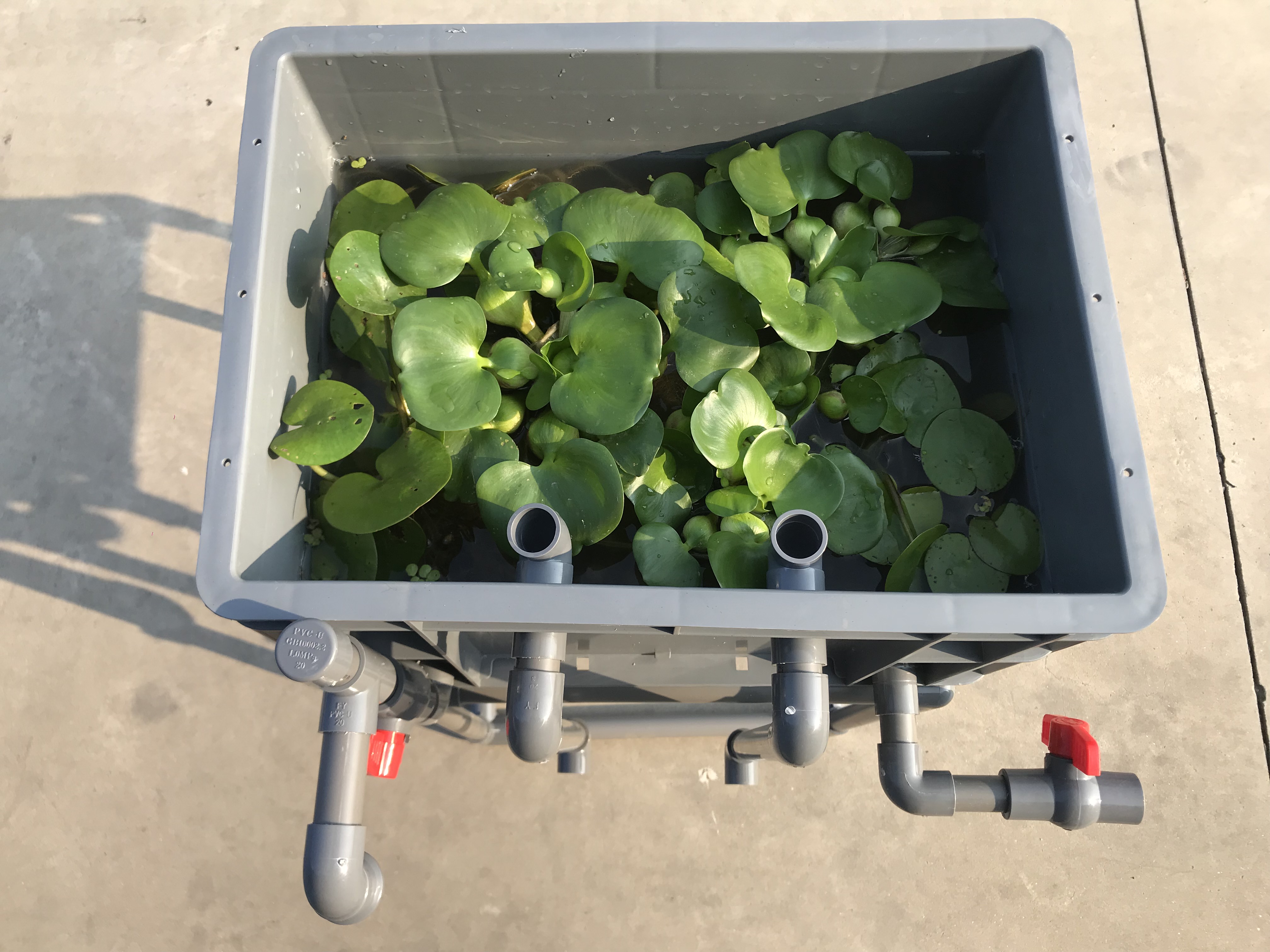 沼泽过滤周转鱼缸鱼池龟缸龟池自制diy龟箱过滤设备