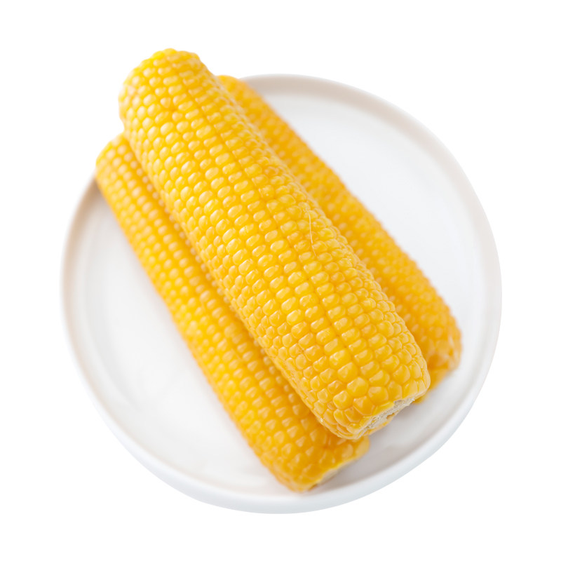 整箱东北黄糯玉米新鲜现摘粘黏真空袋装转基因玉米