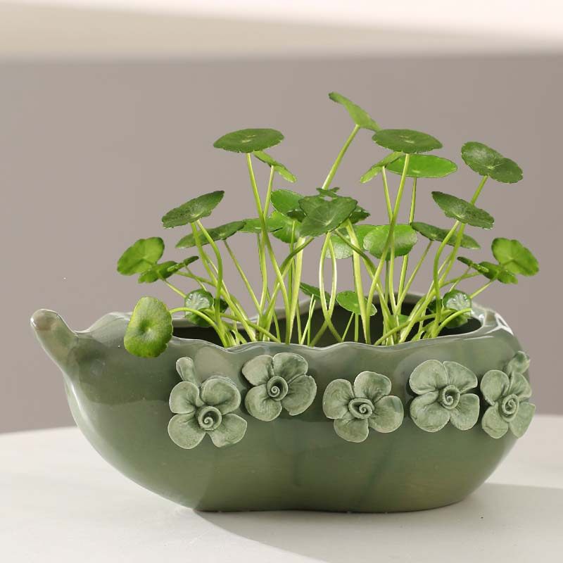 花盆创意无孔水培陶瓷铜钱草容器皿水养植物花盆