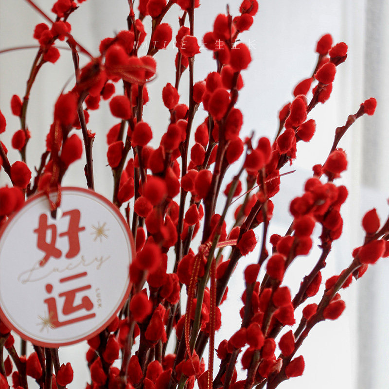 土生土长红色招财银柳干花耐寒年宵花卉室内客厅干花