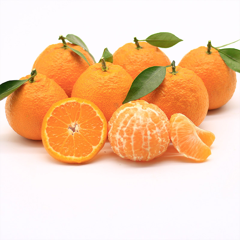 上上鲜 四川汉源黄果柑橘橙批发当季新鲜水果酸甜包邮橙桔子