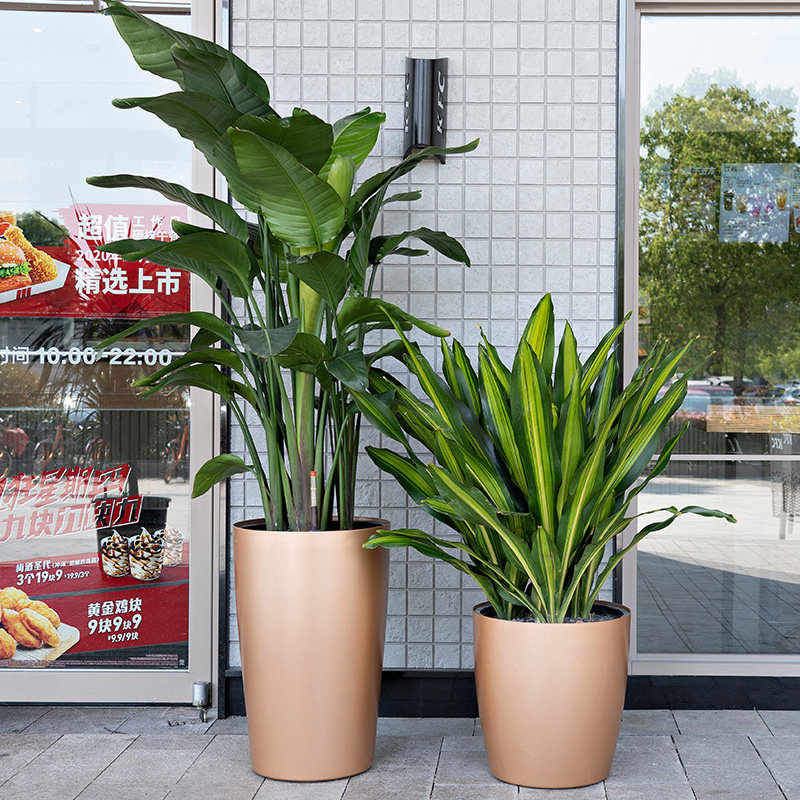 花盆客厅大型植物落地吸水懒人圆形高款大口径花盆