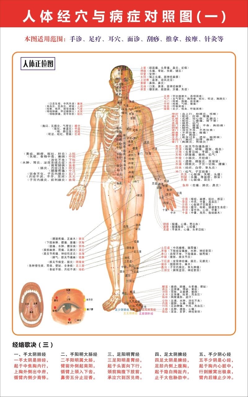 人体经络图及功效图片