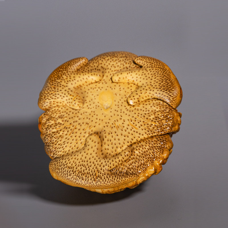 金蟾满钉老竹根雕刻把玩摆件名师手工精雕竹根根雕