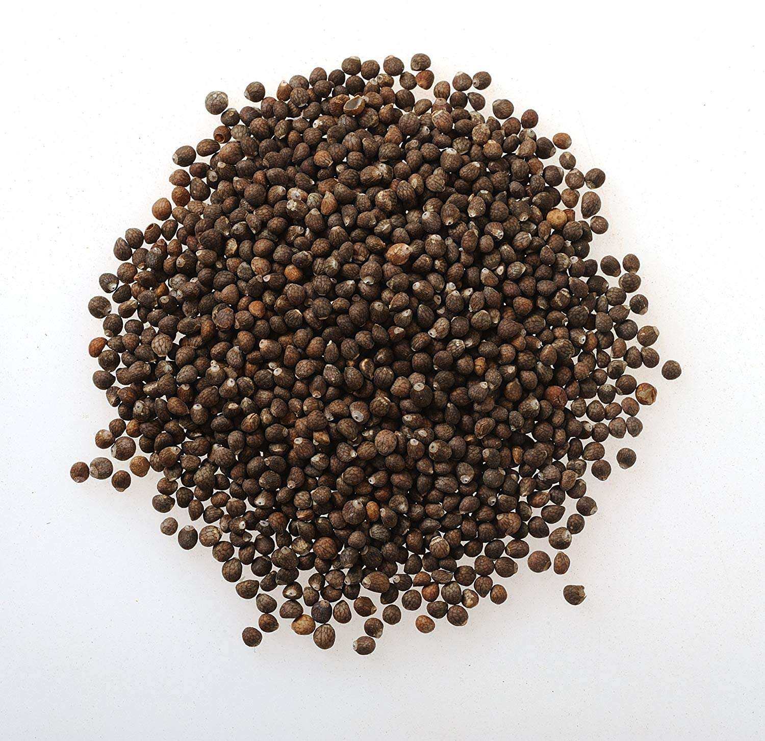 紫苏苏子中草药材农产品大量供应香苏500g紫苏