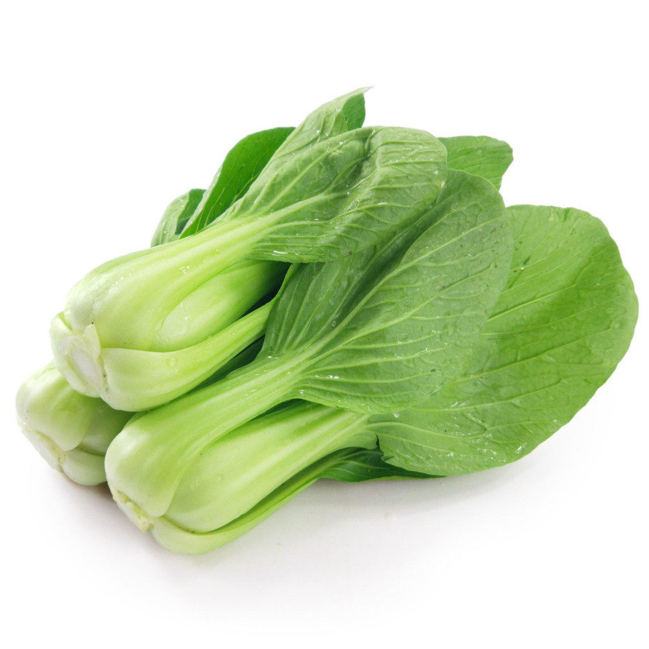 四季高产上海青农家小油菜籽荠菜蒲公英蔬菜菜种蔬菜种子