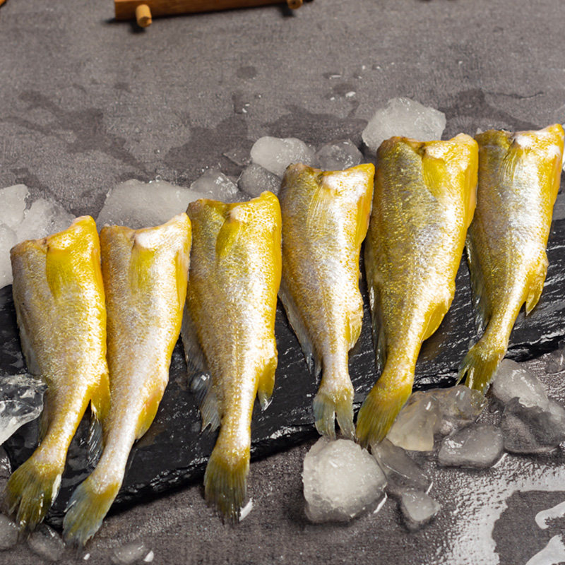 新鲜去头头小黄花鱼冷冻生鲜海鱼黄鱼海鲜鱼类黄鱼