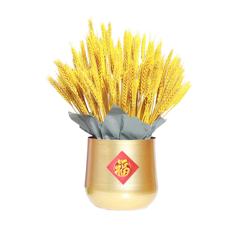 鎏金抱抱桶银柳盆蝴蝶兰金属金色花盆福桶大麦花盆