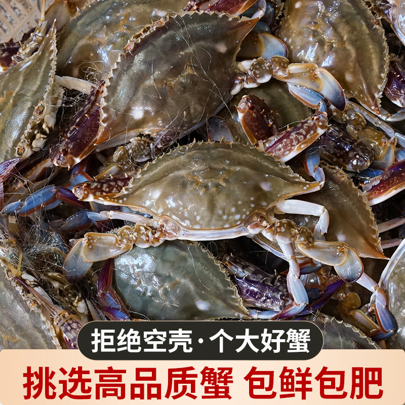 舟山梭子鲜活海蟹野生螃蟹海鲜新鲜白蟹水产梭子蟹