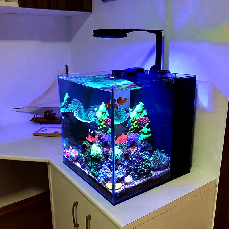 landen珊瑚缸版背滤水族箱桌面海背滤缸海水专业鱼缸