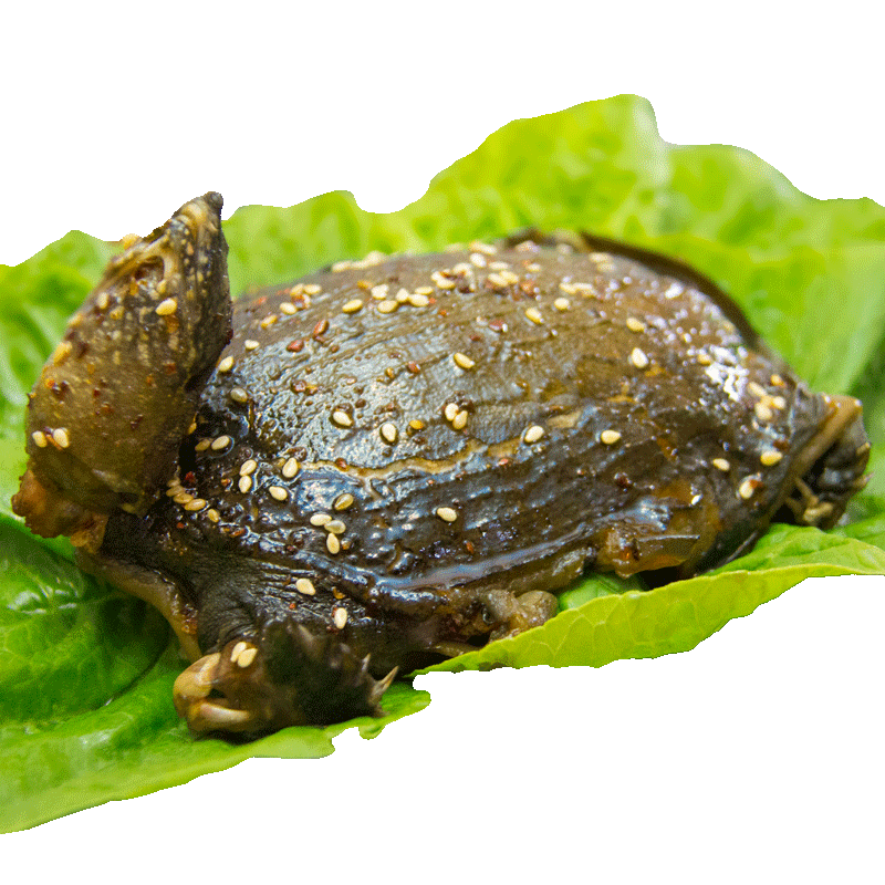 好劲来甲鱼肉熟食即食卤甲鱼真空红烧香辣新鲜整只现杀鲜活老鳖肉