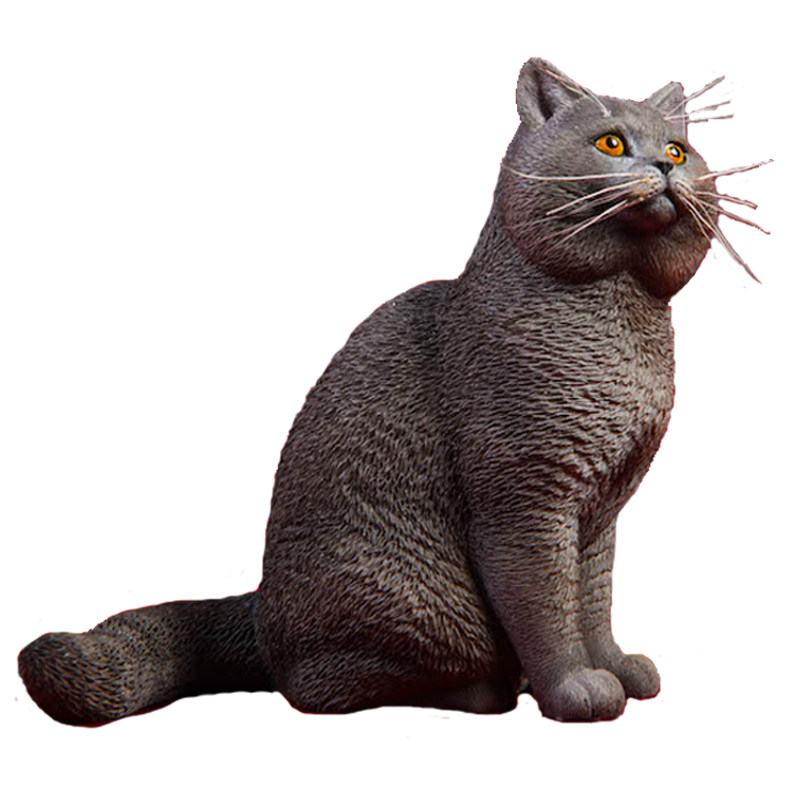 jxk16新款现货短毛猫仿真猫咪模型可爱模玩手办景品可搭配兵人