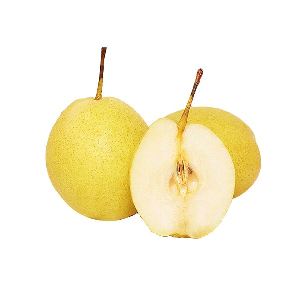 正宗龙口长把梨当季现摘孕妇水果脆酸甜多汁5斤10斤一箱顺丰包邮