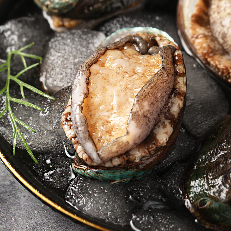 鲍鱼鲜活新鲜特大青岛海贝类海鲜水产6头斤活鲍鱼