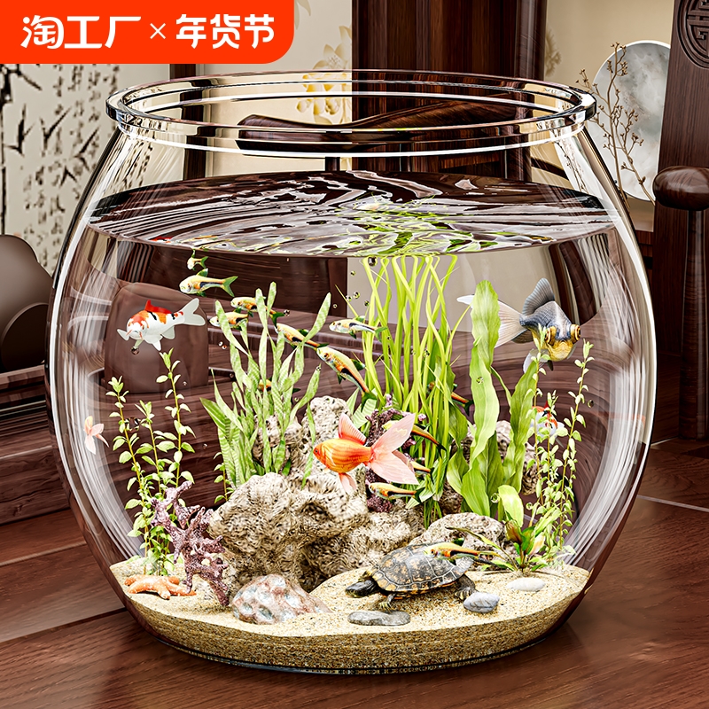 圆形鱼缸:客厅里的迷你生态乐园