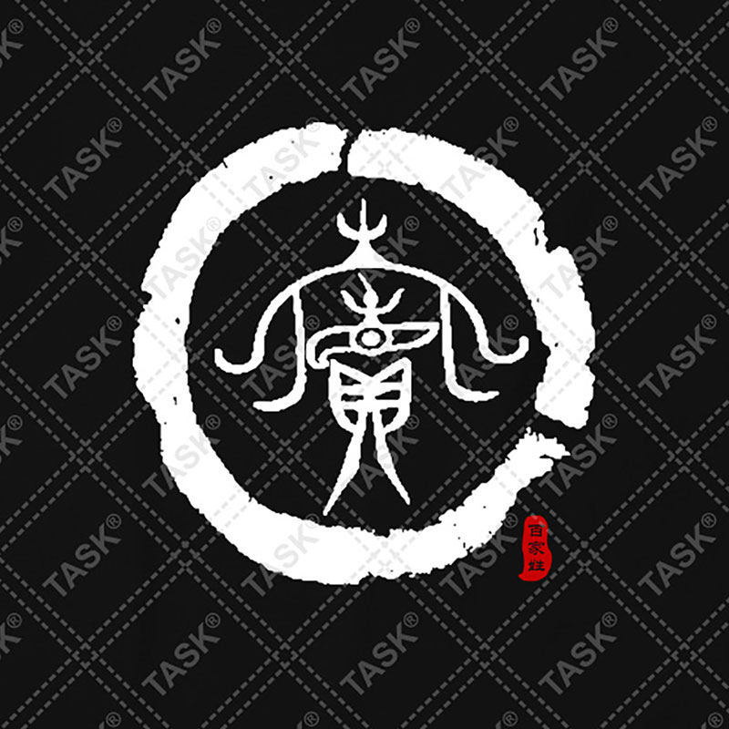 无界中华姓氏图腾姓窦氏家族谱宗族文化短袖t恤