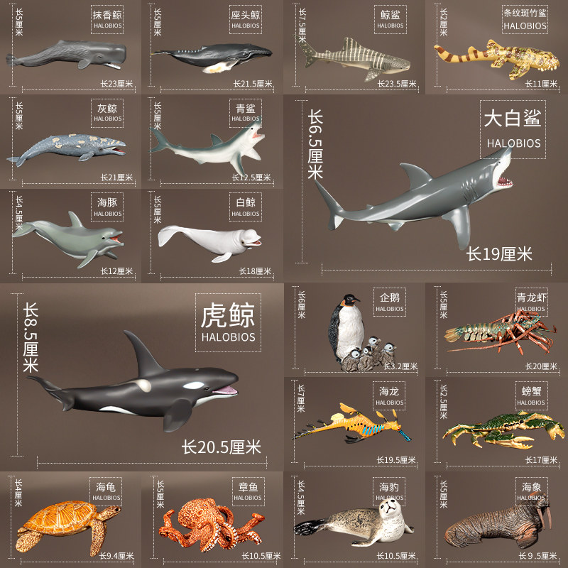 实心海洋动物大白鲨生物鲨鱼模型仿真鲸鱼摆件仿真