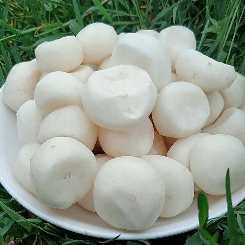 马蹄去皮新鲜荸荠广西荔浦地梨削皮火锅食材荸荠
