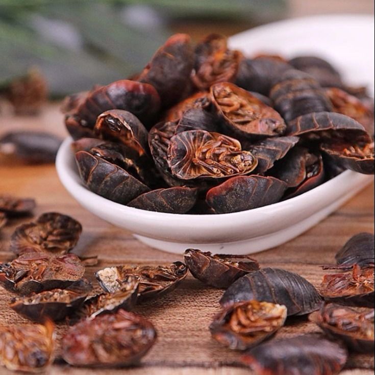 土元中药材大土元土鳖100g土憋新货散装500克手机保护套