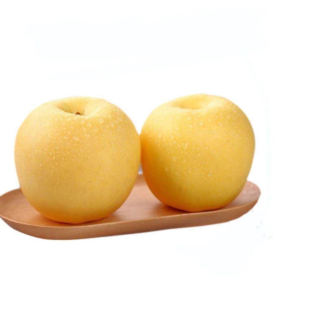 苹果黄元帅老人净重刮泥宝宝粉面水果新鲜金帅苹果