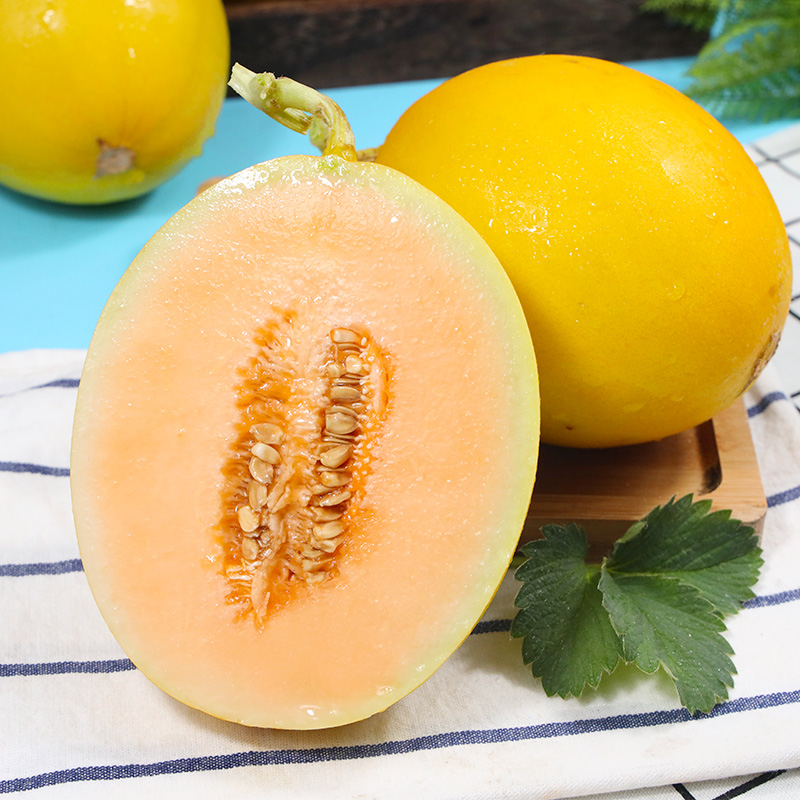 陕西黄河蜜瓜10斤新鲜当季孕妇水果脆甜黄金甜瓜