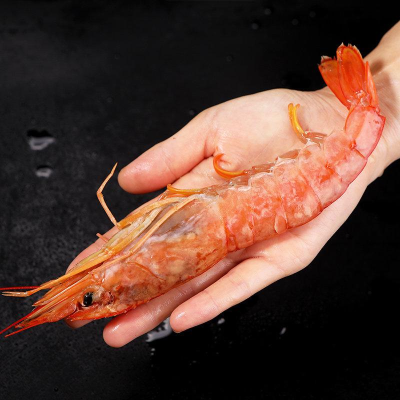 原装进口阿根廷红虾特大红虾海虾鲜活海鲜l1规格2kg