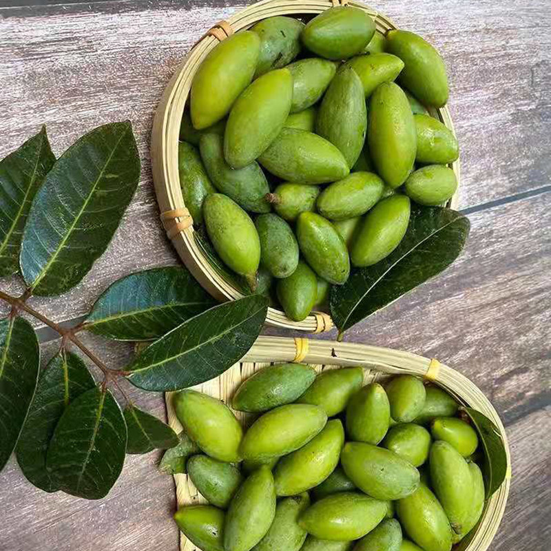 橄榄500g新鲜水果青果福建油柑油甘鲜果其它